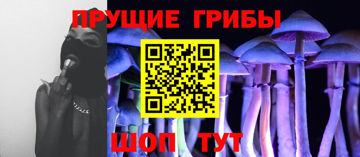 Псилоцибиновые грибы Psilocybine cubensis  Псилоцибиновые грибы мухоморы  Вход с VPN  Лениногорск 