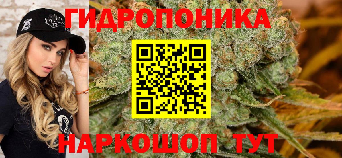 Шишки марихуана семена Лениногорск